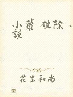 小萝 破除 小说封面