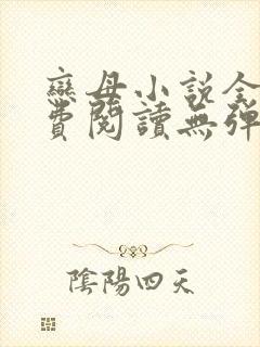 恋母小说全文免费阅读无弹窗笔趣阁封面