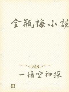 金瓶梅小说下载