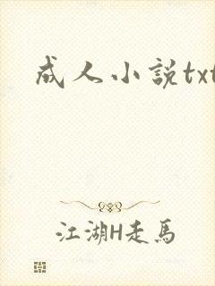 成人小说txt封面