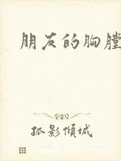 朋友的胸膛封面