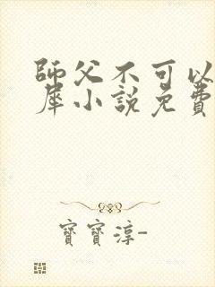 师父不可以洛灵犀小说免费阅读全文在线封面