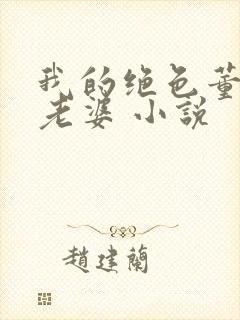 我的绝色董事长老婆 小说