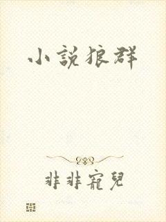小说狼群