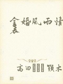 金婚风雨情演员表