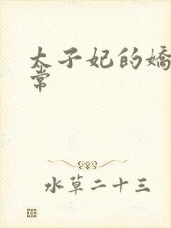 太子妃的娇宠日常