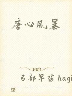 唐心风暴