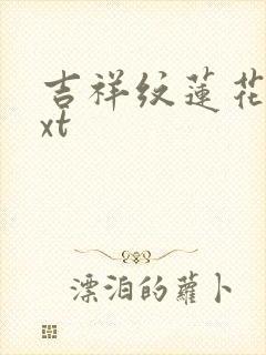 吉祥纹莲花楼txt