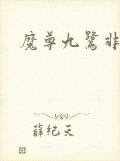 魔尊九鹭非香封面