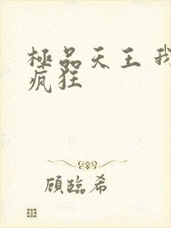 极品天王 我本疯狂封面