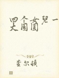 四个女儿一锅烩大团圆封面