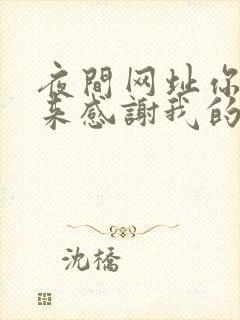 夜间网址你会回来感谢我的