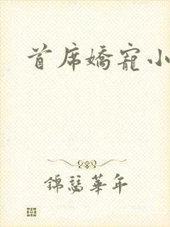 首席娇宠小情人封面