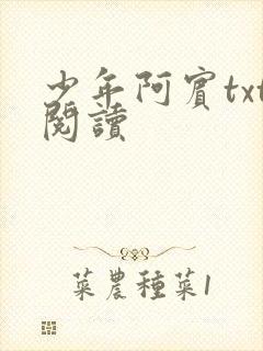 少年阿宾txt阅读