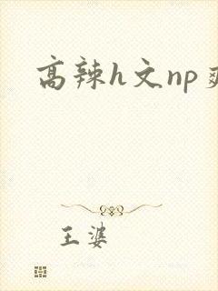 高辣h文np爽