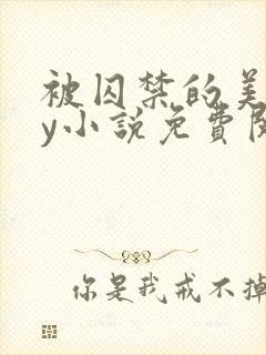 被囚禁的美人by小说免费阅读