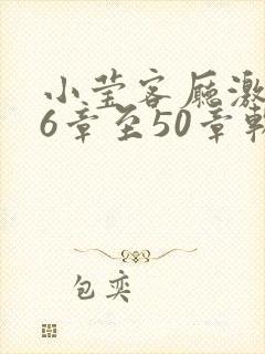 小莹客厅激情46章至50章软件介绍