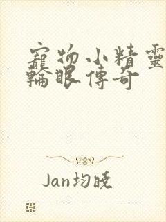 宠物小精灵之写轮眼传奇