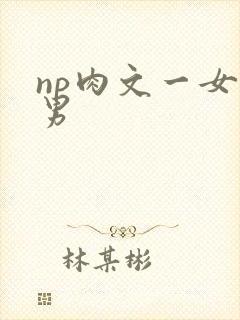 np肉文一女多男