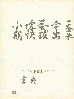 小坏蛋今天危险期快拔出来