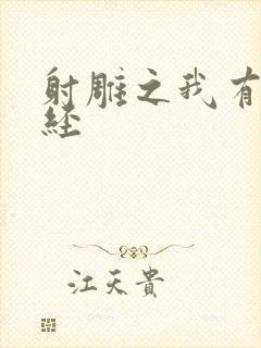 射雕之我有太玄经