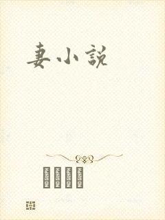 妻小说封面
