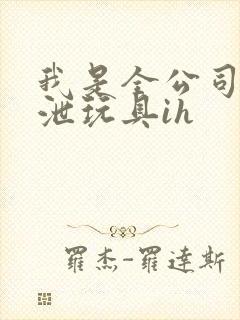 我是全公司的发泄玩具ih