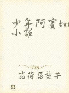 少年阿宾txt小说