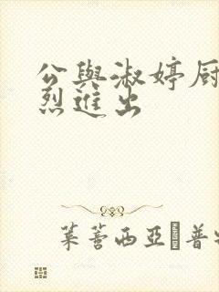 公与淑婷厨房猛烈进出