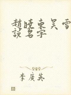 赵晓东吴雪晴小说名字