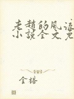 老赵的风流人生小说全文免费阅读