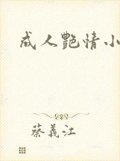 成人艳情小说封面