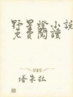 野星灯小说全文免费阅读