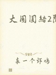 大团圆结2阅读