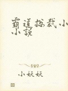 霸道总裁小娇妻小说