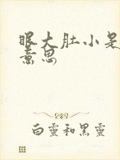 眼大肚小是什么意思