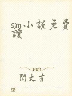 sm小说免费阅读