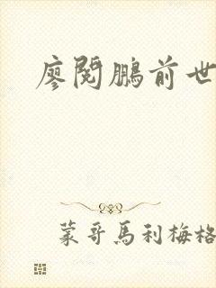 廖阅鹏前世今生