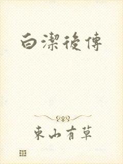 白洁后传