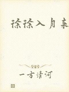 徐徐入月来封面