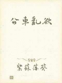 公车乱欲