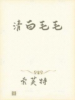 清白毛毛