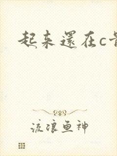 起来还在c骨科封面