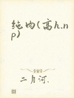 纯肉(高h.np)