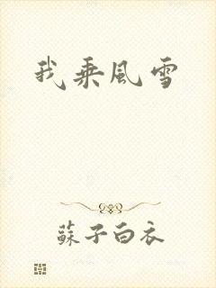 我乘风雪封面