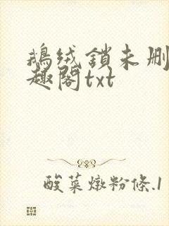 鹅绒锁未删除笔趣阁txt