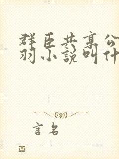 群臣共享公主银羽小说叫什么