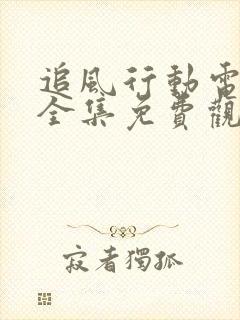 追风行动电视剧全集免费观看