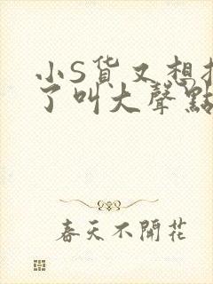 小S货又想挨C了叫大声点小