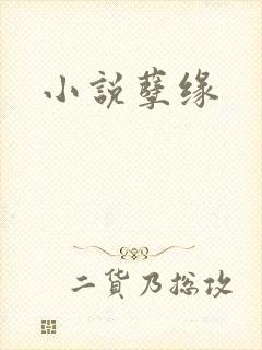 小说孽缘